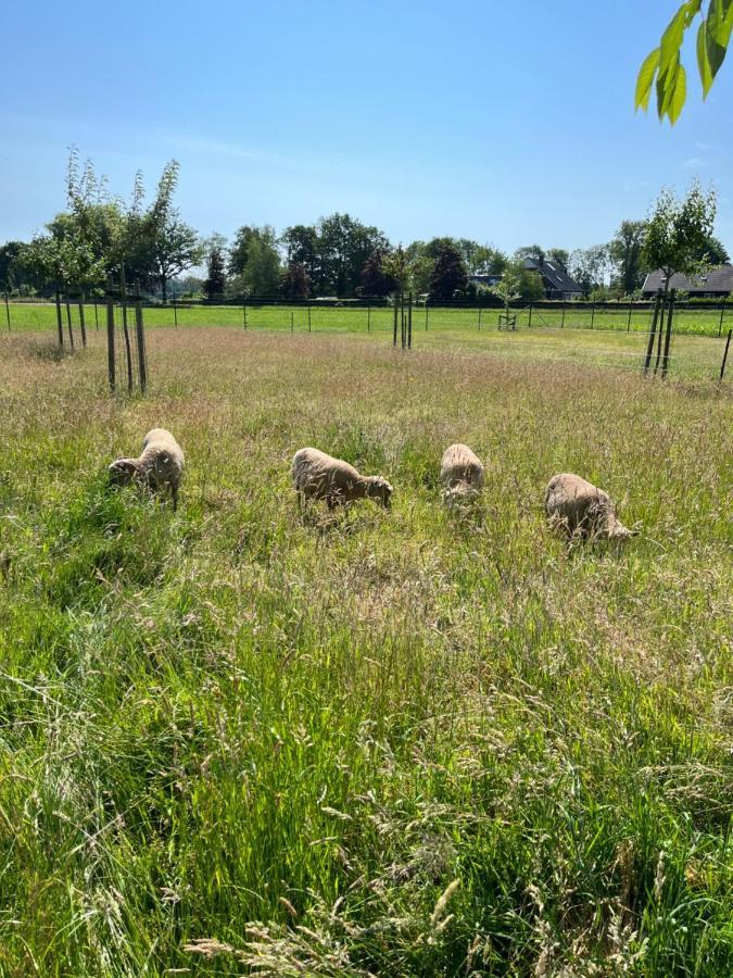 Gastenverblijf Weijdeblik Sinderen Bagian luar foto